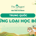 Những loại học bổng du học Trung Quốc