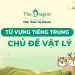 Vật lý trong tiếng Trung là gì? Từ vựng tiếng Trung chủ đề Vật Lý