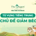 Giảm béo tiếng Trung là gì ? Từ vựng tiếng Trung chủ đề giảm béo