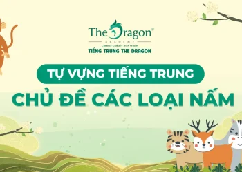 Nấm tiếng Trung là gì ? Các loại Nấm trong tiếng Trung
