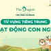 Những hoạt động của con người bằng tiếng Trung