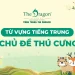 Thú cưng tiếng Trung là gì ? Từ vựng tiếng Trung chủ đề thú cưng