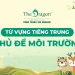 Từ vựng tiếng Trung về môi trường thông dụng dễ học