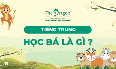 Học bá tiếng Trung là gì ? Mẫu câu tiếng trung về học bá