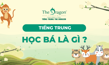 Học bá tiếng Trung là gì ? Mẫu câu tiếng trung về học bá