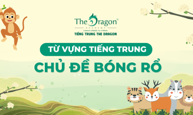 Từ vựng tiếng Trung về bóng rổ và mẫu câu tiếng Trung