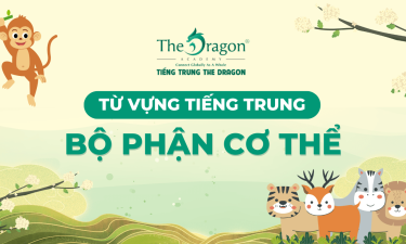 Từ vựng tiếng Trung về chủ đề các bộ phận cơ thể người và mẫu câu giao tiếp