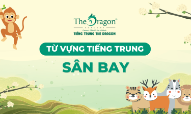 Từ vựng tiếng Trung về sân bay và mẫu câu giao tiếp thông dụng