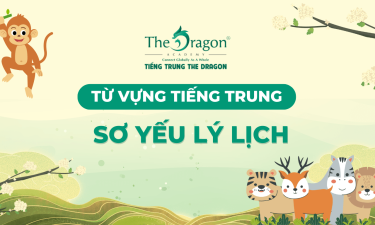 Từ vựng tiếng Trung về sơ yếu lý lịch