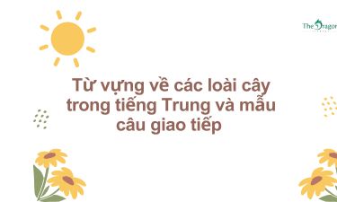 Từ vựng về các loài cây trong tiếng Trung và mẫu câu giao tiếp