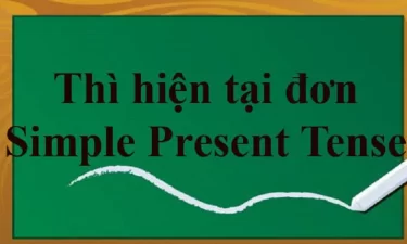 Thì hiện tại đơn (Simple Present) công thức , dấu hiệu và cách sử dụng